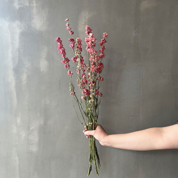 VARAS SECAS DELPHINIUM ROSADO