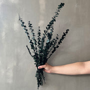 VARAS PRESERVADAS EUCALITPO BABY VERDE