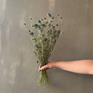 VARAS SECAS FLORES DE NIGELLA