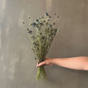 VARAS SECAS FLORES DE NIGELLA