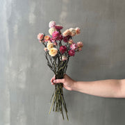 VARAS SECAS HELICRISO BURDEO