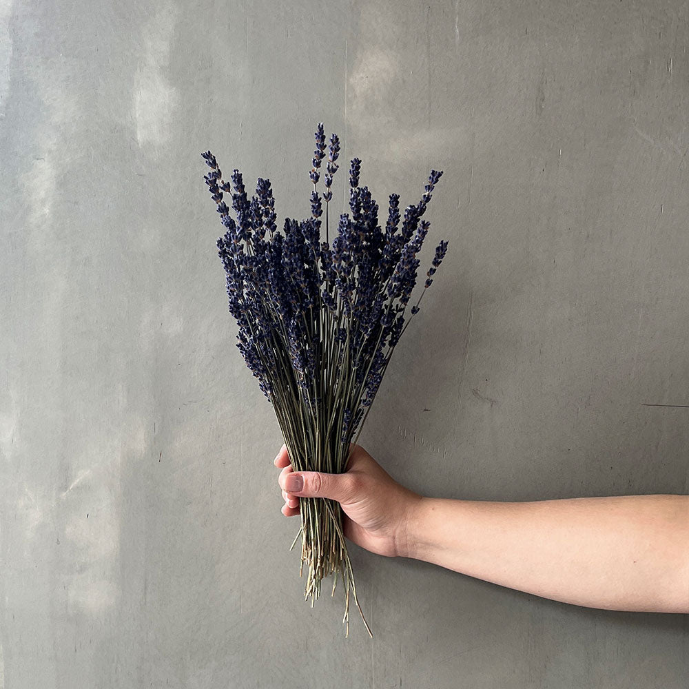 VARAS SECAS LAVANDA