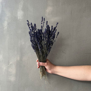 VARAS SECAS LAVANDA