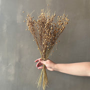 VARAS SECAS LINAZA NATURAL