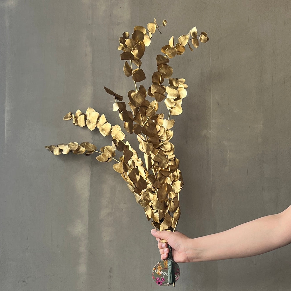 VARAS PRESERVADAS EUCALIPTO GUNNI DORADO