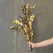 VARAS PRESERVADAS EUCALIPTO GUNNI DORADO