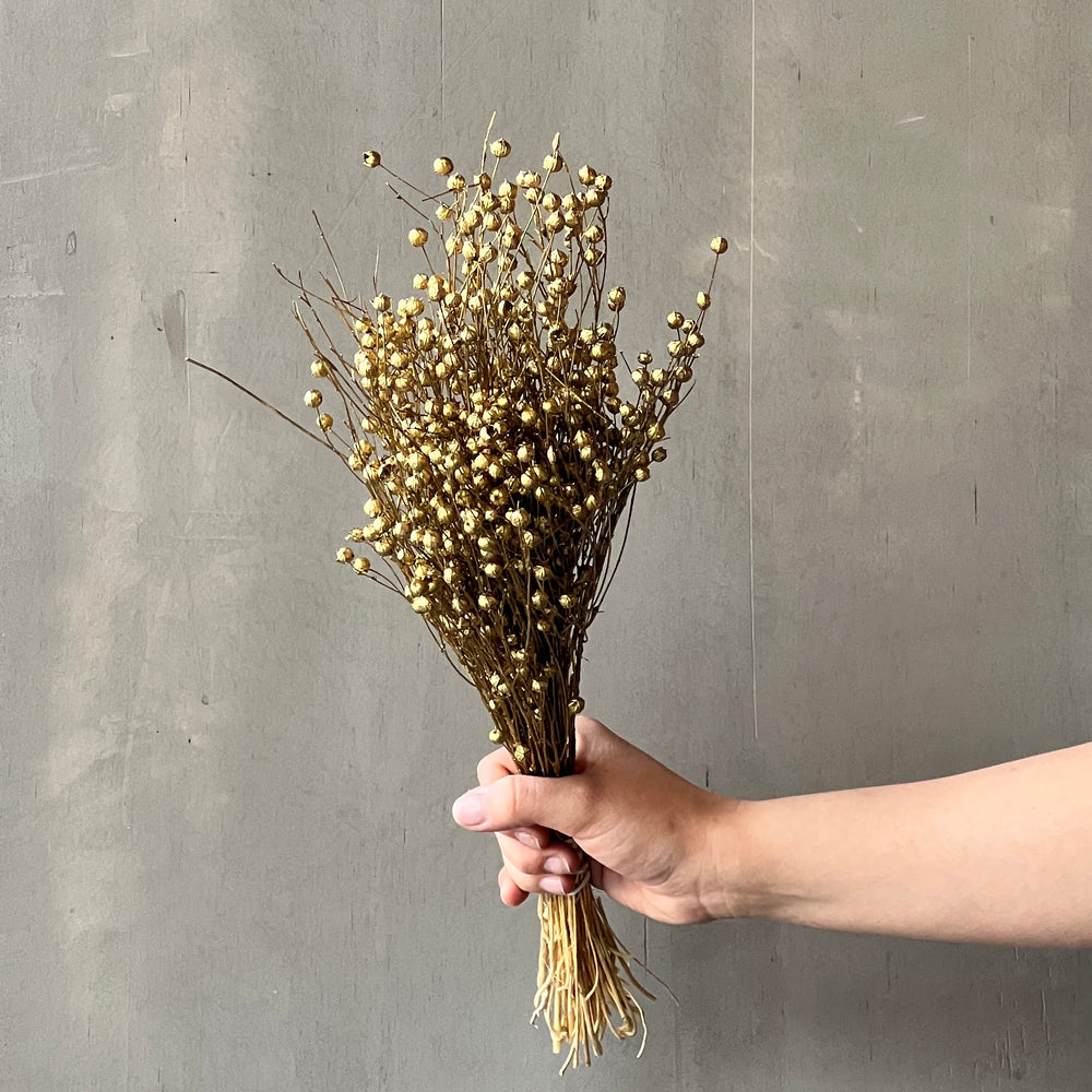 VARAS SECAS LINAZA DORADA