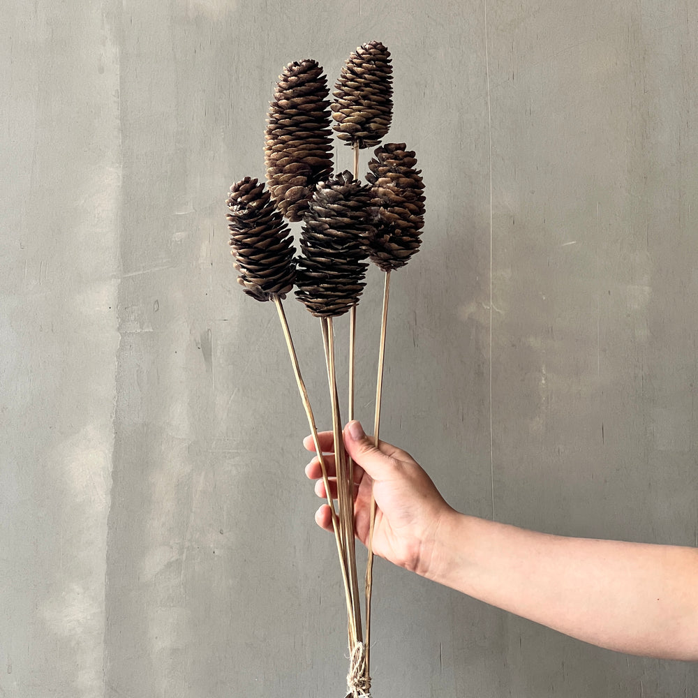 VARAS SECAS PIÑA LARGA