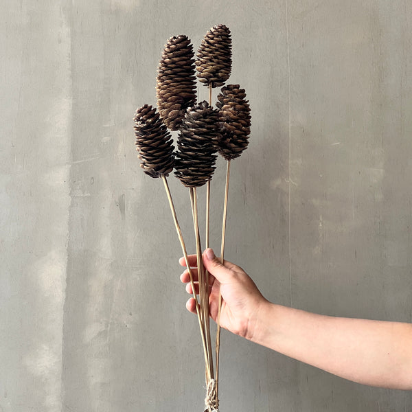 VARAS SECAS PIÑA LARGA