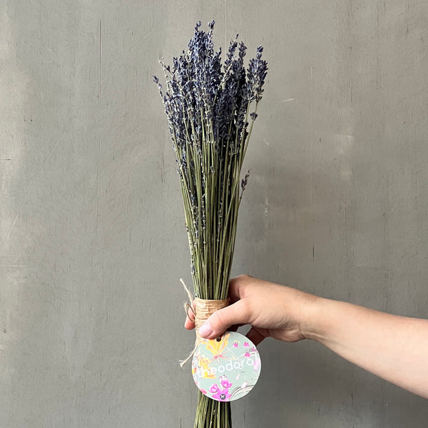 VARAS SECAS LAVANDA LARGA