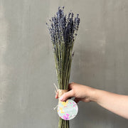 VARAS SECAS LAVANDA LARGA