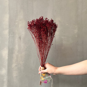 VARAS SECAS RETAMO ROJO