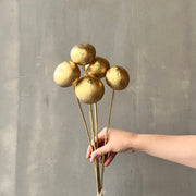 VARAS SECAS BOLAS DORADAS