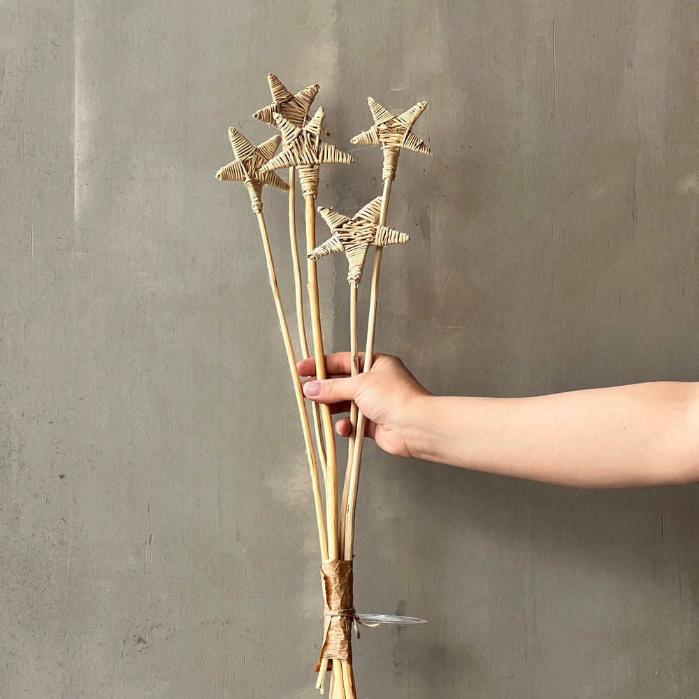 VARAS SECAS ESTRELLAS DE MIMBRE