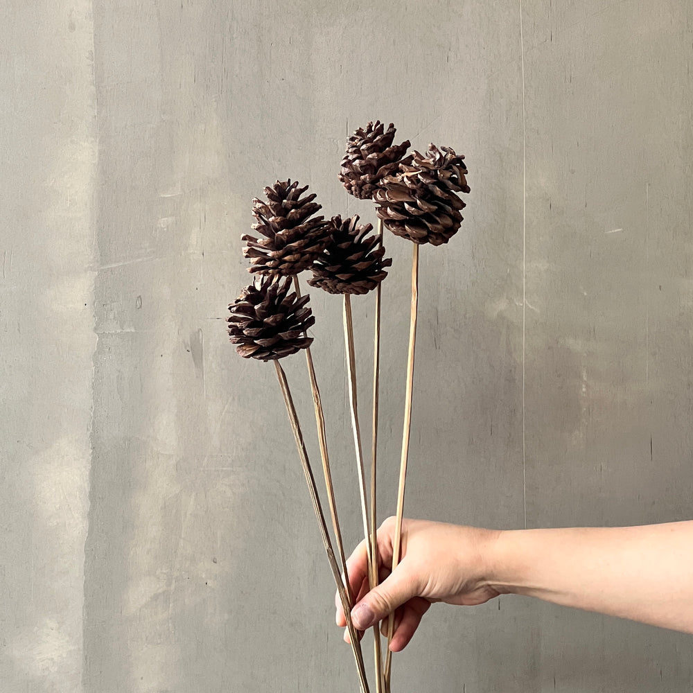 VARAS SECAS PIÑA NATURAL