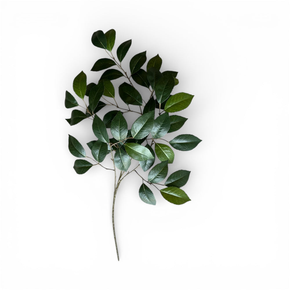 RAMA DE CAMELIA 72 CM