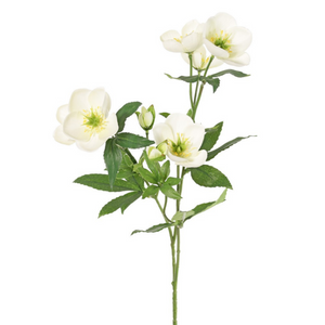 VARA ELÉBORO BLANCO 48 CM