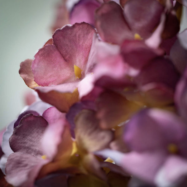 HORTENSIA ROSA OSCURO 53CM