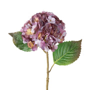 HORTENSIA ROSA OSCURO 53CM