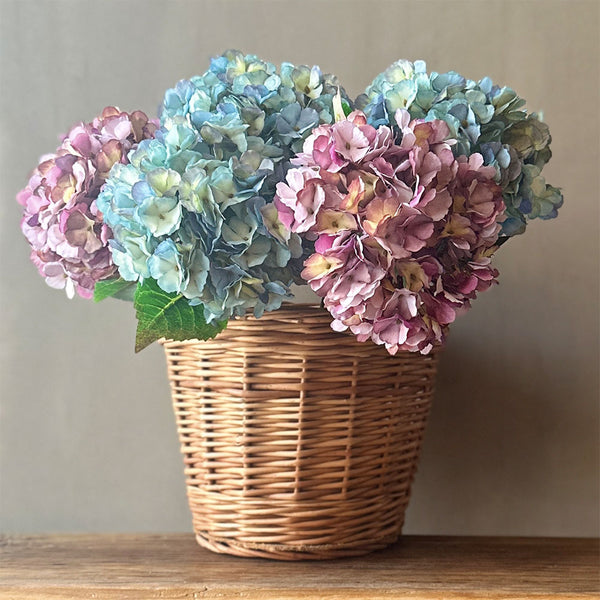 HORTENSIA ROSA OSCURO 53CM