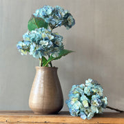 HORTENSIA AZUL 53CM