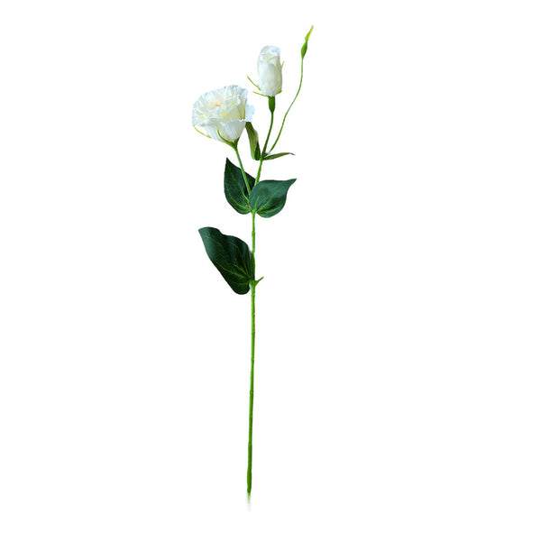 LISIANTUS BLANCO 53CM