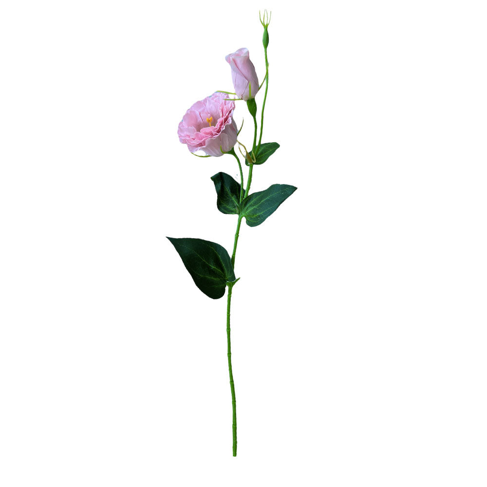 LISIANTUS ROSADO 53CM