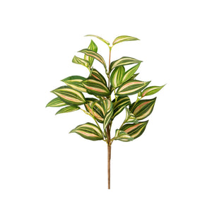 RAMA TRADESCANTIA 46CM