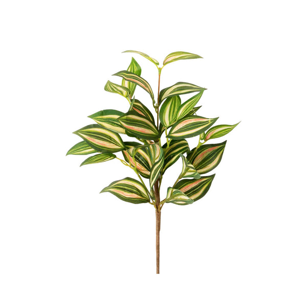 RAMA TRADESCANTIA 46CM