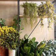 EUCALIPTO ENREDADERA MINI 83CM