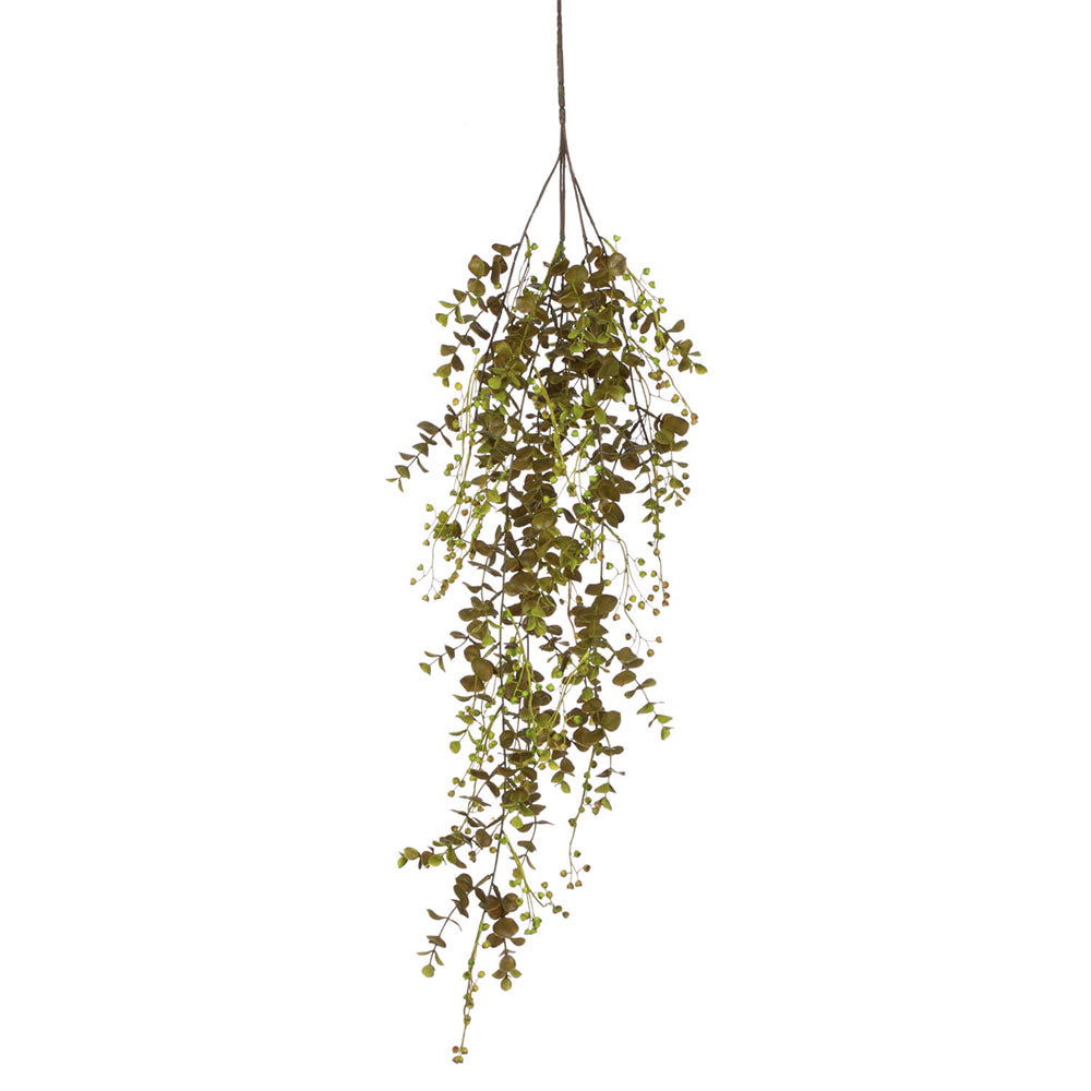 EUCALIPTO ENREDADERA MINI 83CM
