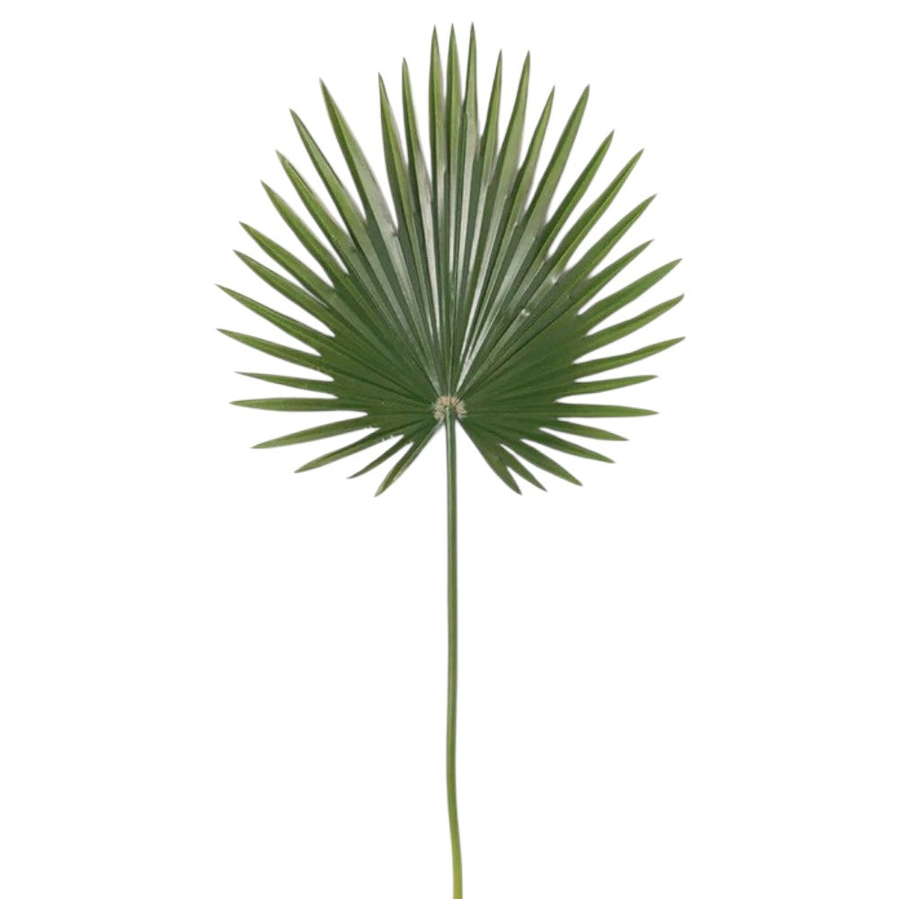 HOJA DE PALMA 100 CM