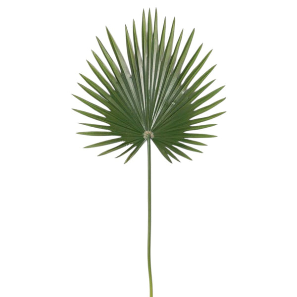 HOJA DE PALMA 100 CM
