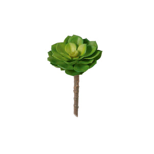 SUCULENTA ECHEVERIA VERDE CLARO 13CM