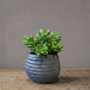 POT RADAAN