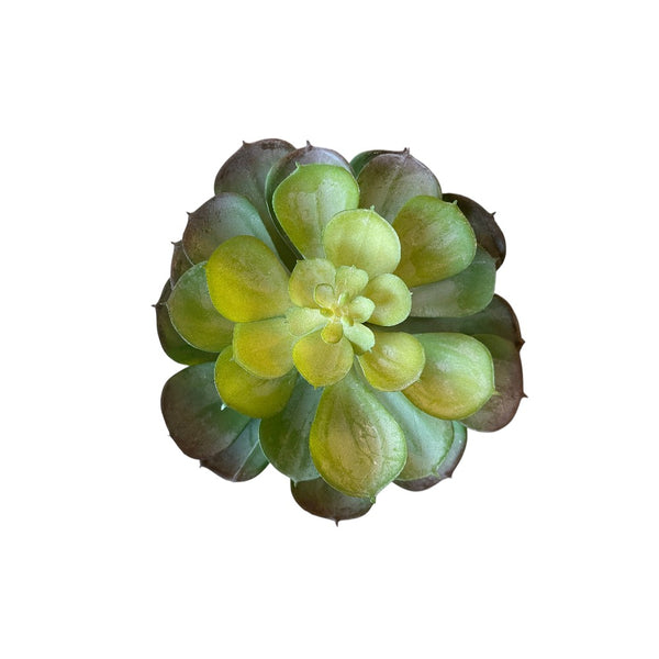 SUCULENTA  ARTIFICIAL AEONIUM GRANDE