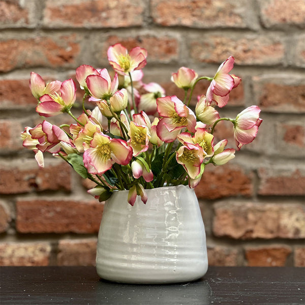 ELÉBORO ROSADO 30 CM