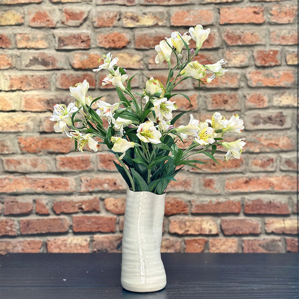 ASTROMELIA BLANCA 75 CM