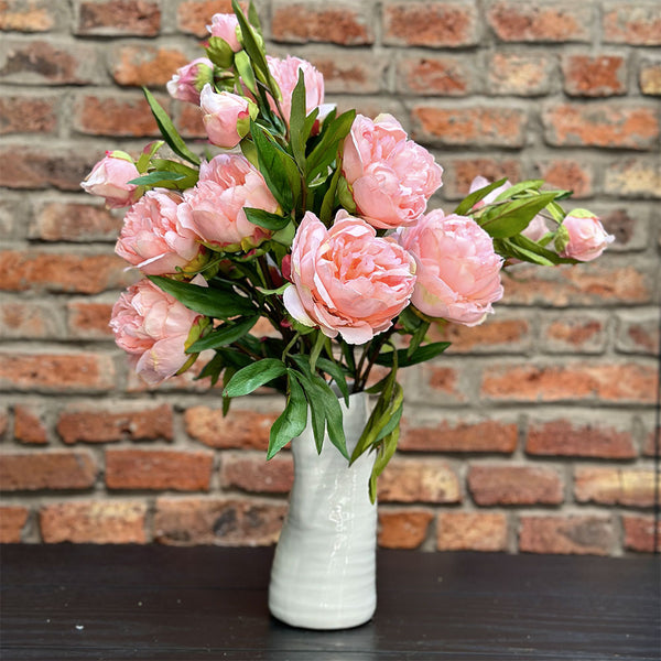 PEONÍA PALO ROSA 73 CM