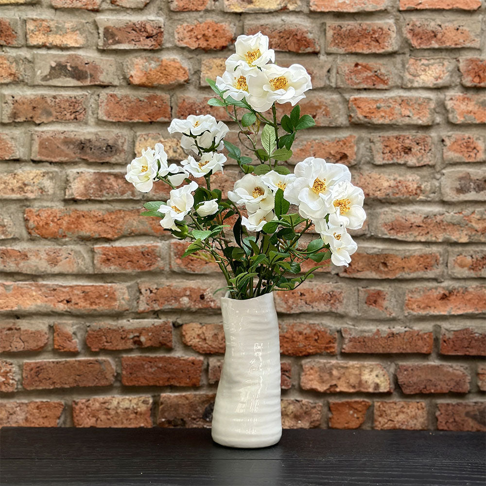ROSA MOSQUETA BLANCA 60 CM