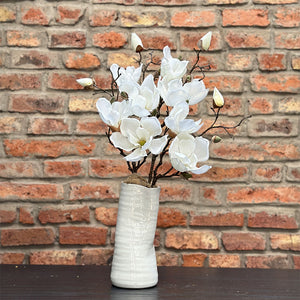 MAGNOLIA SOULANGEANA CREMA 48 CM