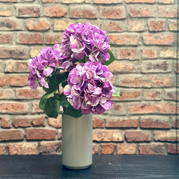 HORTENSIA PURPURA 60CM