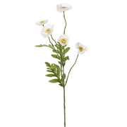 AMAPOLA BLANCA 63 CM