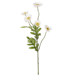 AMAPOLA BLANCA 63 CM