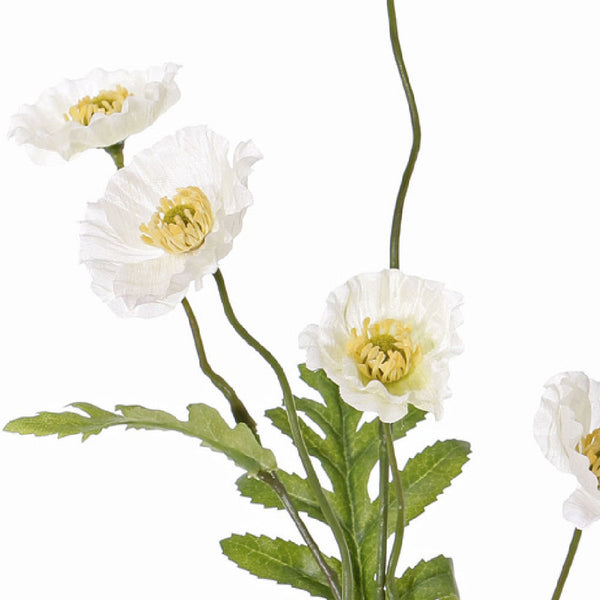 AMAPOLA BLANCA 63 CM