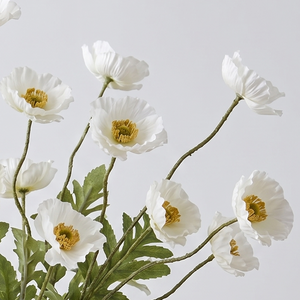 AMAPOLA BLANCA 63 CM