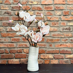 MAGNOLIA SOULANGEANA ROSA PALIDO 48 CM