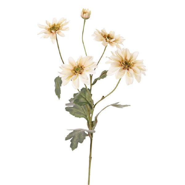 CRISANTEMO CREMA 65 CM
