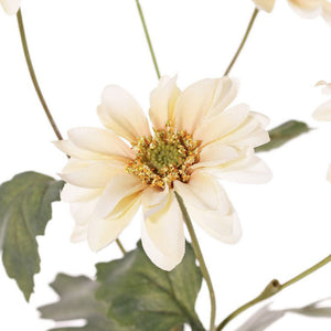 CRISANTEMO CREMA 65 CM