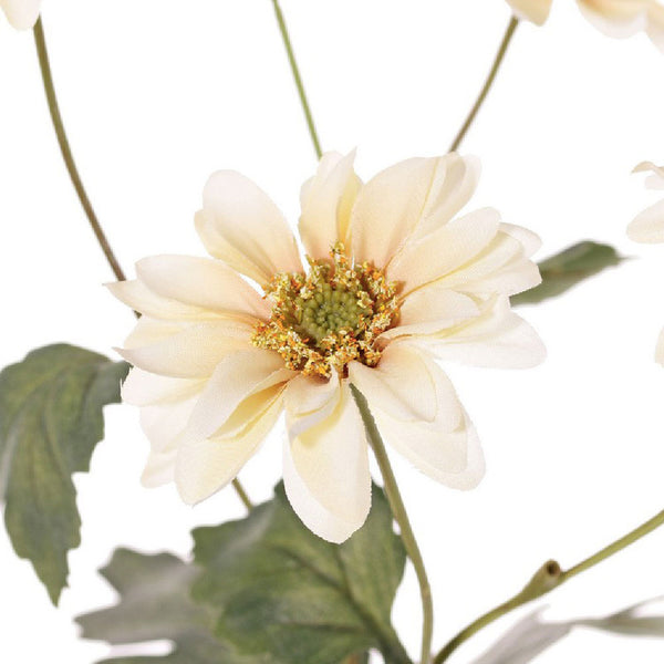 CRISANTEMO CREMA 65 CM
